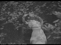 herbst9 - causa mortis video outtake