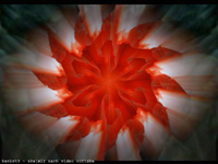 herbst9 - skelmir narh video outtake